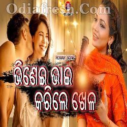 Bhinei Bhai Karile khela - New Year Special Dance Song